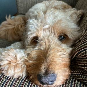 Meet your Posher, Kate